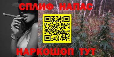 дмт Кимры