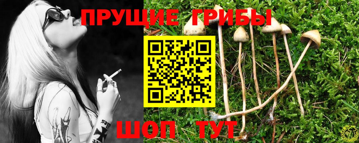 Коркино  Галлюциногенные грибы мицелий  Вход с VPN  Псилоцибиновые грибы мухоморы 